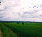 Rimavská Sobota - Dúžava - V.Bučeň - Fiľakovo - hrad Hajnáčka - Petrovce galeria