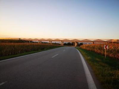 sijruu galeria