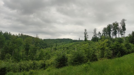 Okruh na vrch Sinec galeria