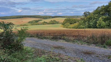 Rimavská Sobota - Dúžava - V.Bučeň - Fiľakovo - hrad Hajnáčka - Petrovce galeria