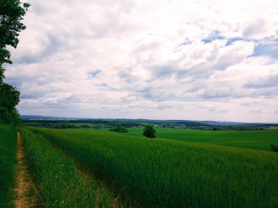 Rimavská Sobota - Dúžava - V.Bučeň - Fiľakovo - hrad Hajnáčka - Petrovce galeria